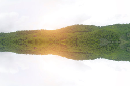rural landscape