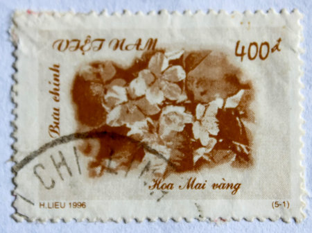 VIETNAM - CIRCA 1996: A stamp printed in Vietnam shows Yellow apricot flowers, circa 1996 