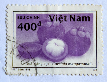VIETNAM - CIRCA 1996: A stamp printed in Vietnam shows mangosteen fruit, circa 1996	の写真素材
