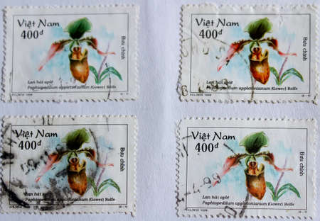 VIETNAM - CIRCA 1998: A stamp printed in Vietnam shows orchid, circa 1998のeditorial素材