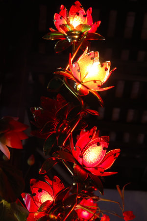 lotus lightsの写真素材