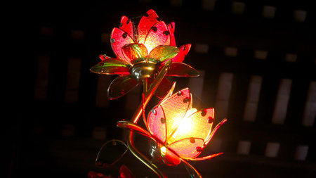 lotus lightsの写真素材