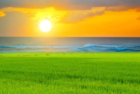 Sun setの写真素材