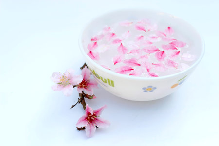 peach petals in waterの写真素材