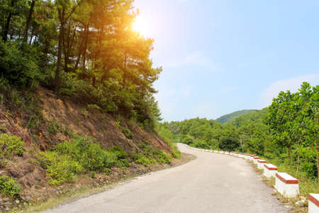 rural roadの写真素材