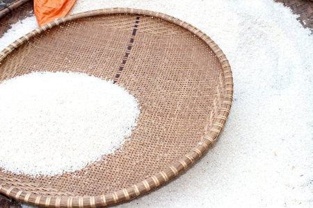 Paddy in vietnamの写真素材