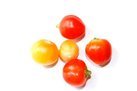 isolated on white backgroundの写真素材