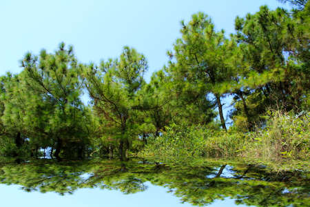 Mountainの写真素材