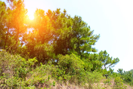 Mountainの写真素材