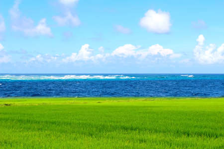 blue seaの写真素材