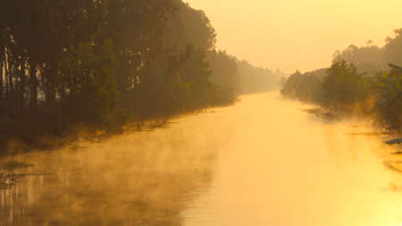 dawn on the river with dew

の写真素材