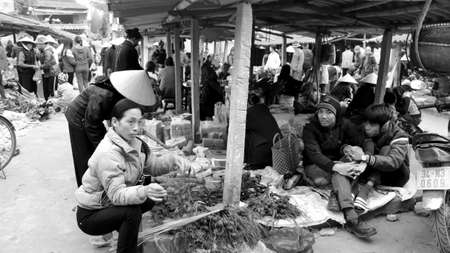 HAI DUONG, VIETNAM, APRIL, 10: Asian woman selling betel nut at market on April, 10  in Hai Duong, Vietnam. のeditorial素材