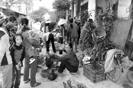 HAI DUONG, VIETNAM, APRIL, 10: Asian woman selling chickens in the market on April, 10  in Hai Duong, Vietnam. のeditorial素材