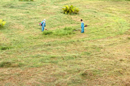 HAI DUONG, VIETNAM, AUGUST, 12: gardener mowing lawn with gas trimmer, vietnam on August, 12, 2014 in Hai Duong, Vietnam.のeditorial素材