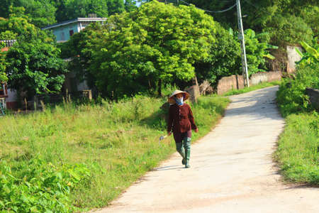 HAI DUONG, VIETNAM, AUGUST, 26: peasant woman with sickle on the road on August, 26, 2014 in Hai Duong, Vietnam.のeditorial素材