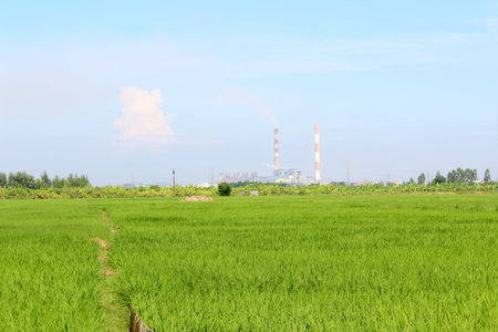 The rice field and factoryの写真素材