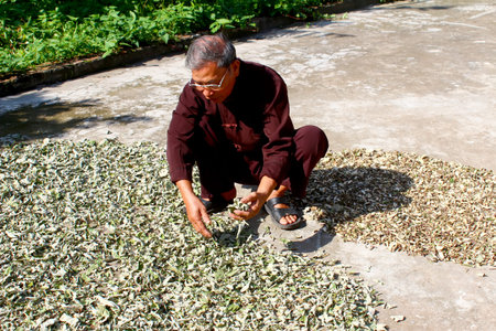 HAI DUONG, VIETNAM, AUGUST, 26: the medicine man and medicinal herbs on August, 26, 2014 in Hai Duong, Vietnamのeditorial素材