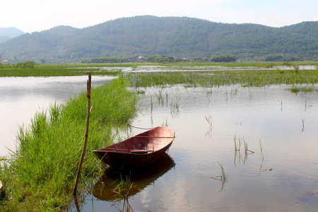 The boat on the riverの写真素材