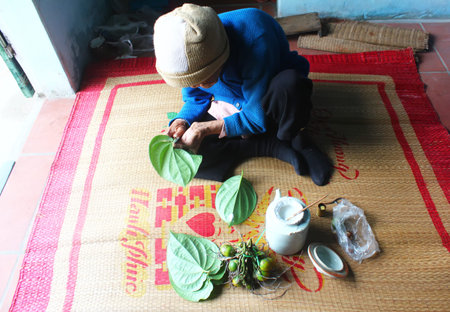 Haiduong, Vietnam, December, 27, 2014: Woman making betel with betel and areca.  Customs of betel chewing is longstanding in Vietnamのeditorial素材