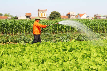 Haiduong, Vietnam, April, 14, 2015: Man watering vegetables fieldsのeditorial素材