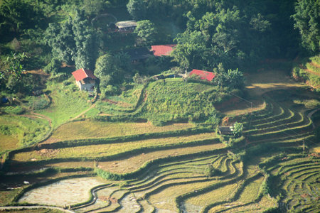 Rice terraces at Mu Cang Chai, YenBai, Vietnam
