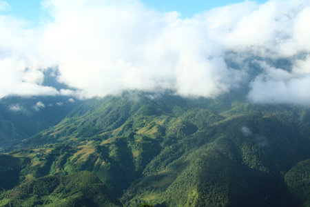 Beautiful view of the mountains and clouds in the morning at Doi Inthanon National Park, Chiang Mai,...