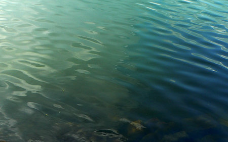 Water