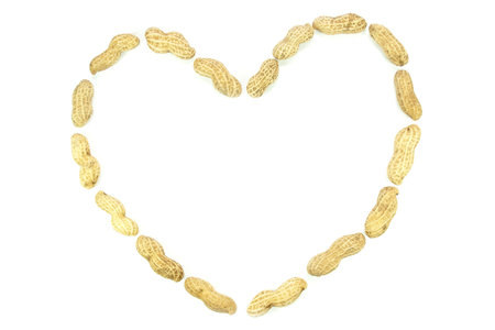 Several pieces of peanuts arranged in a shape of love