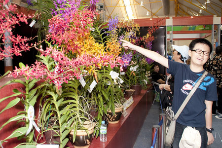 KUALA LUMPUR - NOVEMBER 30 :  A unidentified visitor pointing at an orchid display during Malaysian Agriculture, Horticulture and Agrotourism Show (MAHA) on November 30, 2010 in Kuala Lumpur, Malaysia.のeditorial素材