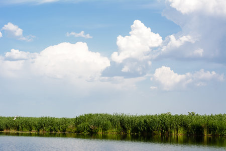 Blue skies with clouds above the water, river bulrushの写真素材