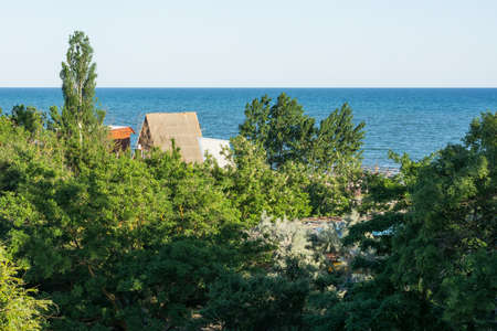 Forest on the sea coast against the sea in the summer. The view from the top. Sunny day and blue sky. Lots of green trees.の写真素材