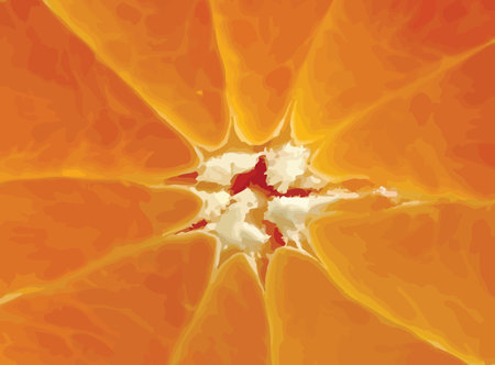 abstract orange slice backgroundの写真素材