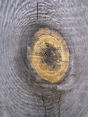 Old wooden texture, natural close-up backgroundの写真素材