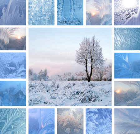 Collage of ice patterns on glass and winter landscape with treeの写真素材