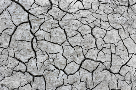 Close up of natural dry soil texture