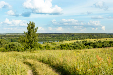 Beautiful summer landscape with herbs, trees, river, road and bright blue sky with white cloudsの写真素材