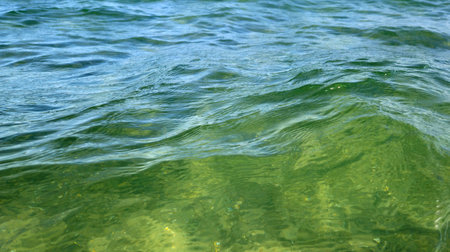 Beautiful wavy surface of clean and transparent turquoise sea water, close-upの写真素材