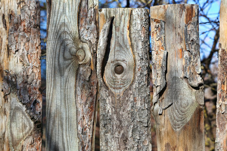 Close-up of old wooden weathered fence textureの写真素材
