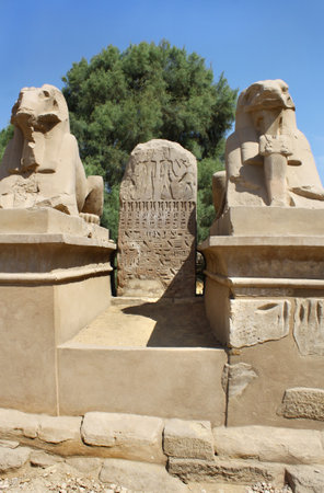Statue of Ram Headed Sphinx, front view, Karnak Temple, Luxor, Egyptの写真素材