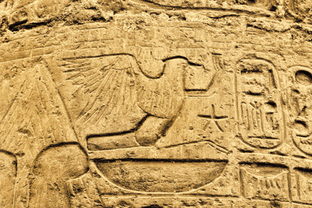 Ancient egyptian hieroglyphs in the Karnak Temple, Luxor, Egypt