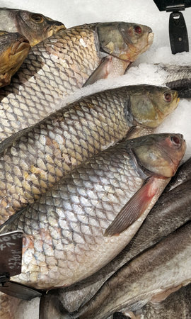 Close-up of cooled fish on ice for sale in market