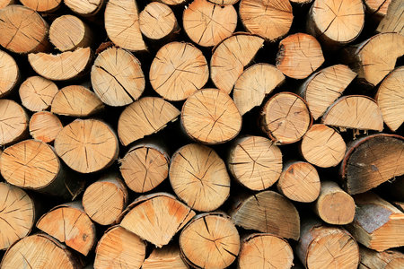 Firewood pile stacked chopped wood trunks, close-up backgroundの写真素材