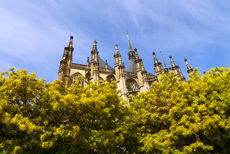 Holy temple Barbara (Chram Svate Barbory), Kutna Hora, Mid Bohemian Region, Czech Republicの写真素材