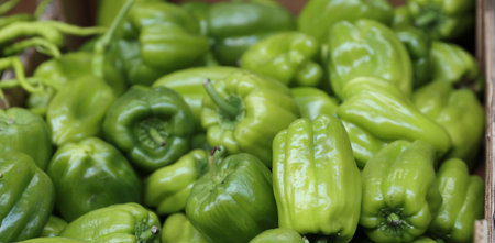 Pile of Sweet green green peppers at the street food market. Green paprika background. Fresh vegetables at the farmer store. Selective focus.の写真素材