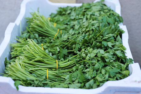 Close-up of bunches of green celery in a street food market. Sale of fresh herbs. Bunches of organic parsley tied with an elastic band. Fresh herbs on display at grocery store. Selective focus.の写真素材