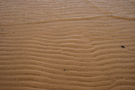 Seamless wet sand with sea water on a whole background. Empty wavy sandy sea bottom. Exotic Sandy...