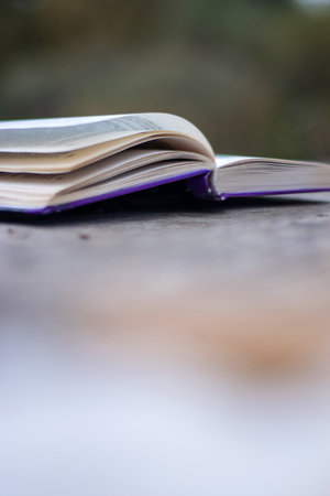 Open book with pages flipping in the wind. Reading on the lake wooden dock on autumn day. Learning enjoying tranquility of nature. Peaceful outdoor environment. Selective focus. Blurred background.の写真素材