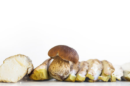 Row of raw sliced boletus mushrooms prepared for cooking or preserving. Group of fungi slices isolated on white background. Front view. Close up. Copy space. Selective focus.の写真素材