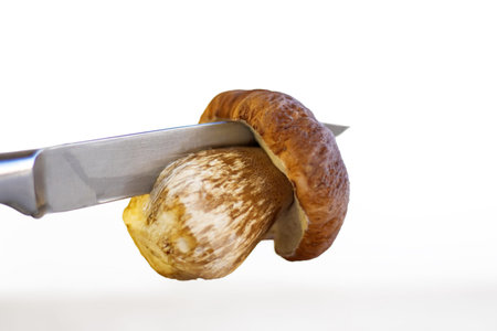 Cutting white mushroom with knife into two halves on wooden kitchen board or table. Cooking fungus. Knife cuts boletus fungi. Dividing into two parts. Minimalist design concept. Close up. Copy space.の写真素材