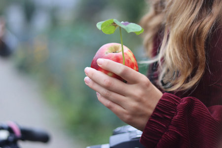 Young female hand holding red apple and good luck leaf, four leaf clover plant. Autumn day outdoors. Teenager girl with long blond hair. Blurred background. Copy space. Selective focusの写真素材